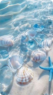 Mary🏊‍♀️🩰's avatar