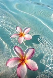 Dit moi tout's avatar