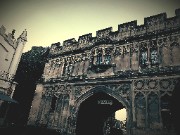 Mangoo 🥭🎀's avatar