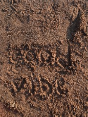 mydailyroutine0078's avatar