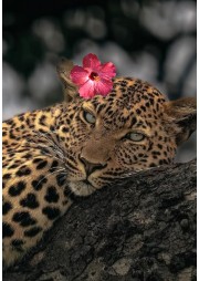 Isa_bbella.'s avatar