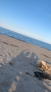 🎀🍰Aury🍰🎀's avatar