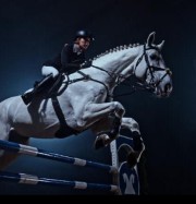 ☄️La_vie_d'une_cavaliere☄️'s avatar