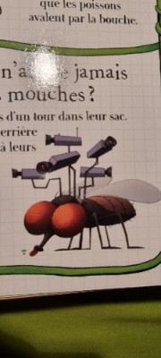 CookieBrown 's avatar