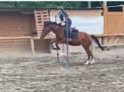 Chiara🐴💋's avatar