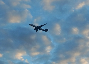 💥🩰DanceMagic🩰💥's avatar