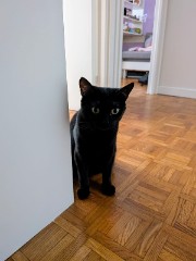 Billlllie❤️'s avatar