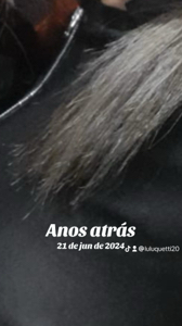 🍍♠️poker♠️🍍's avatar