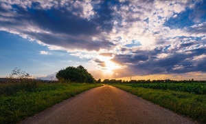 ~Jule🫶🏻's avatar