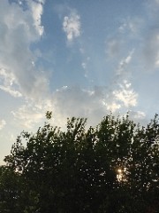 Clean girl ²⁰²⁵'s avatar