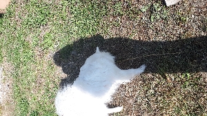 Coco❤️😎💫's avatar