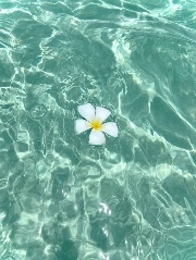 Pinkpalmpuff 🌴's avatar