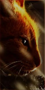 Maewenn 😁's avatar