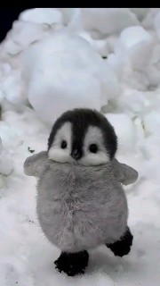 Pour les pubs 😘's avatar