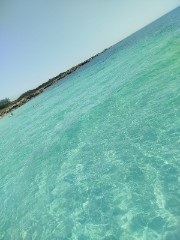 Amber ❤️'s avatar