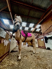 Louiseee 🦊's avatar