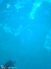 🥥Zozo/Rose 🤍's avatar