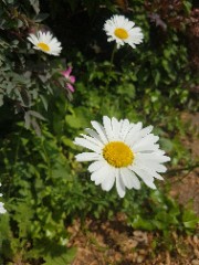 🍉Itzz.me🌺's avatar