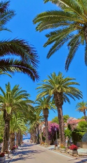 My Little Life's avatar