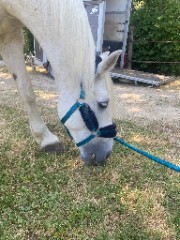 La Folle Mondial ! 😉❤️🐎's avatar