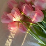 🪩🌷Une fille🎀💕's avatar