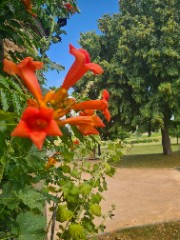 𝐋𝐢𝐬𝐚🍦's avatar