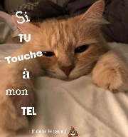 jne_🦦⭐️'s avatar