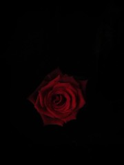 𝙲𝚑𝚕𝚘's avatar