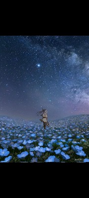 👘 L'otaku(e)🍙's avatar