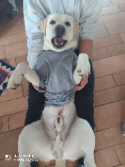 MelySkincare 's avatar