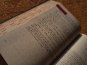 giuli book life🤍's avatar