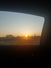 Snoopy☆☆'s avatar