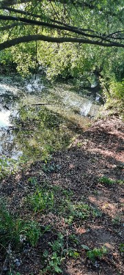 •°•°♡Jasmine🇰🇷🎀♡°•°•'s avatar