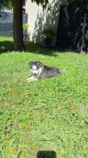 🎈 Pro dance 🎉's avatar