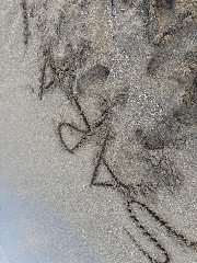 𝐒𝐀𝐑𝐀's avatar