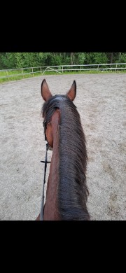 🤍Anna🤍's avatar