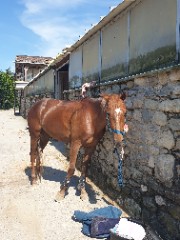 Lycia et Nic Nac 🫶🏻's avatar