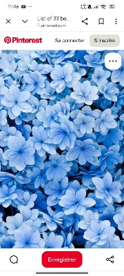 LuLu 👑🌟's avatar