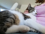 A Girl💓{Hanni} 's avatar