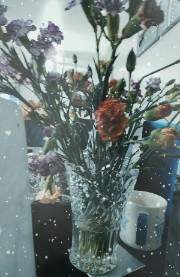 #corncakepop's avatar