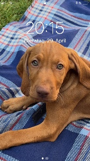 B  🐶🐕🥹😁😉✨'s avatar