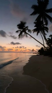 Andy 💕✨🪩's avatar