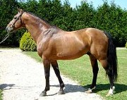 Sam Sam Sam sam's avatar