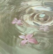 La fan de Lisa 🍥💫🐣's avatar