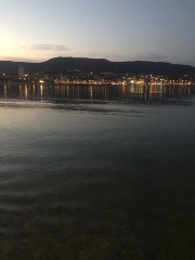 🥂✨Lena ✨🥂's avatar