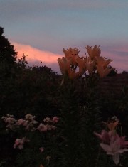 𝖅𝖊𝖍𝖗𝖆's avatar