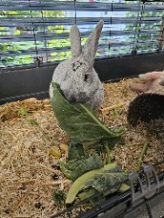 Rinti 🐰💕's avatar