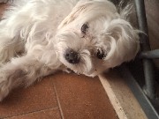 Auri😍🥰😘's avatar