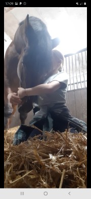 Isaure&Fenix's avatar