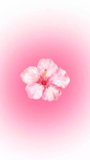 Pub c’est ici 🐆✨⬇️'s avatar